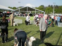 Dog Show Maďarsko- SZILVÁSVÁRAD 2011