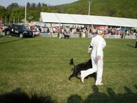 Dog Show Maďarsko- SZILVÁSVÁRAD 2011