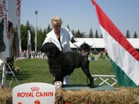 Dog Show Maďarsko- SZILVÁSVÁRAD 2011