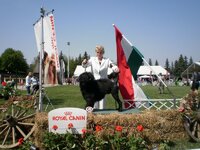 Dog Show Maďarsko- SZILVÁSVÁRAD 2011