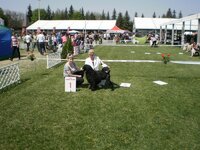 Dog Show Maďarsko- SZILVÁSVÁRAD 2011