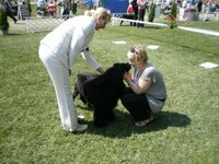 Dog Show Maďarsko- SZILVÁSVÁRAD 2011