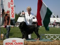 Dog Show Maďarsko- SZILVÁSVÁRAD 2011